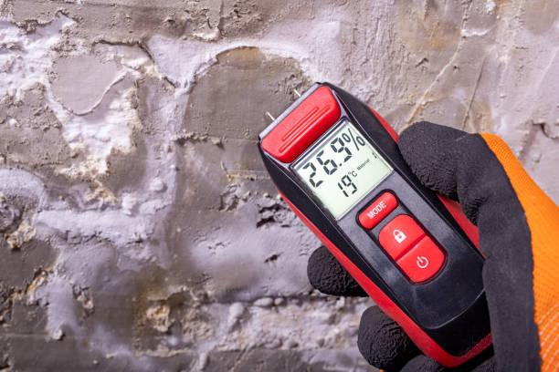 Best Attic Mold Removal  in Grosse Pointe, MI