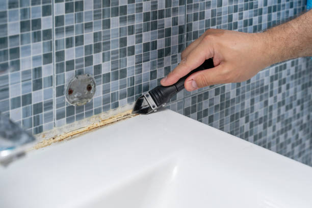 Best Same-Day Mold Removal  in Grosse Pointe, MI