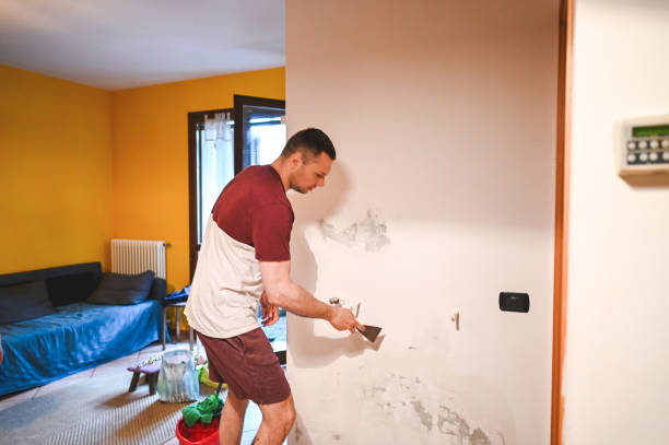 Best Mold Remediation  in Grosse Pointe, MI